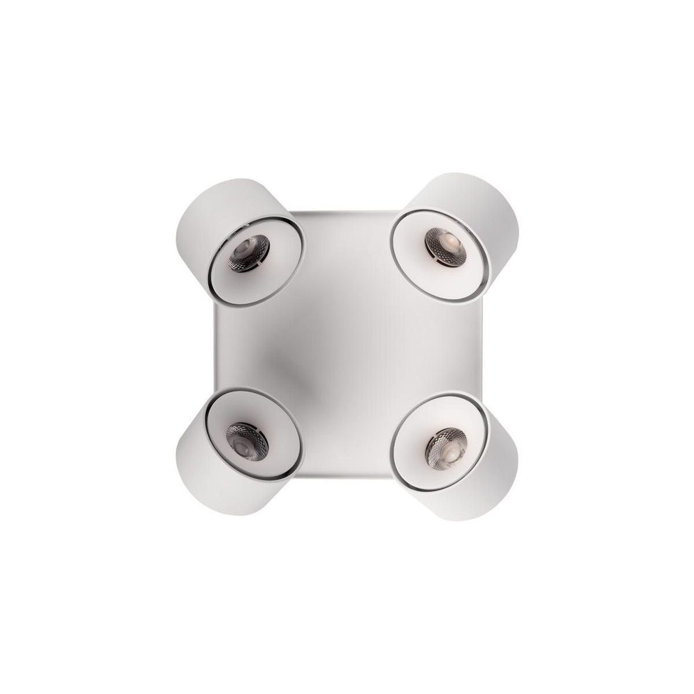 Потолочный светодиодный светильник Loft It Case 10326 White