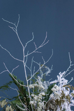 Композиция в бетонном кашпо белая