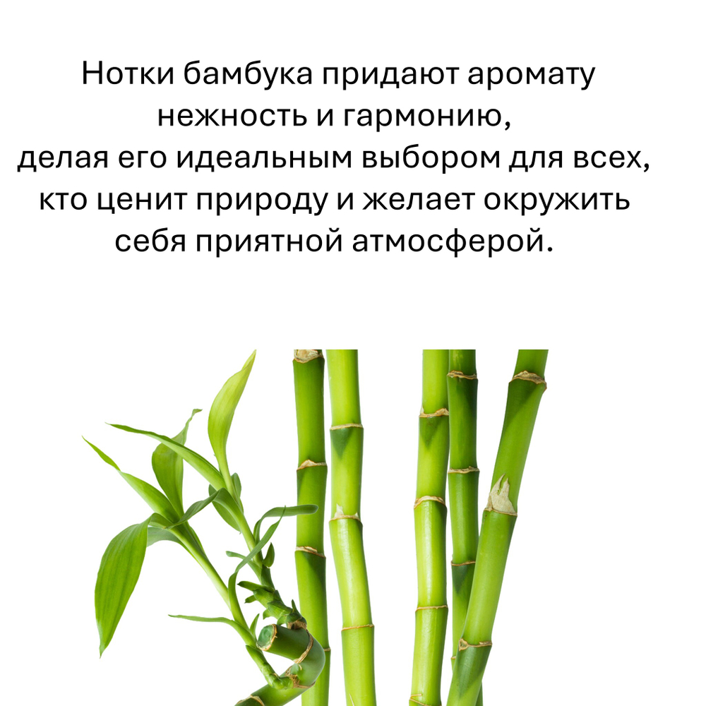 Бамбук, кубики восковые для ароматизации, 10 штук