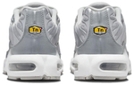 Кроссовки Nike Air Max Plus