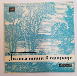 Голоса Птиц В Природе Voices Of Birds In The Nature