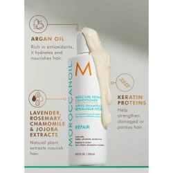 Moroccanoil Repair Discovery Set