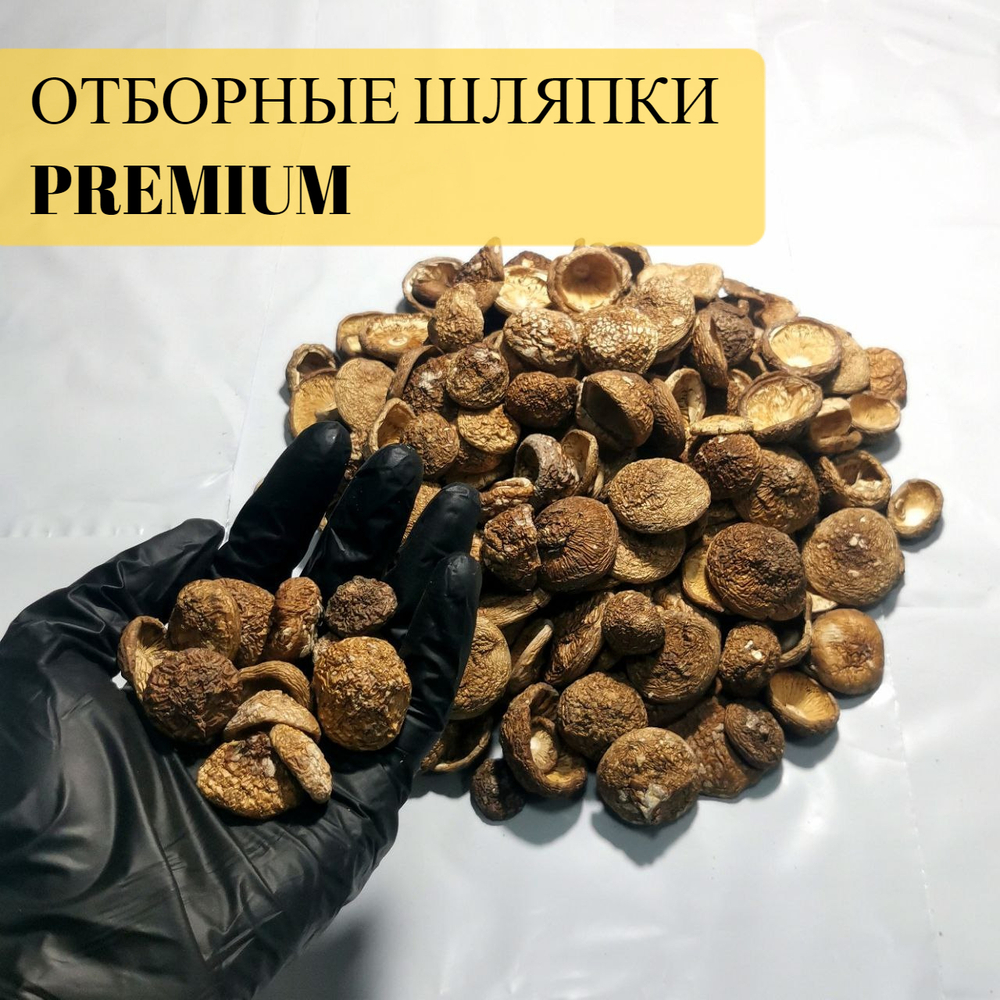 Мухомор пантерный мелкие шляпки