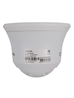 Видеокамера IP TSi-Ee25FPN