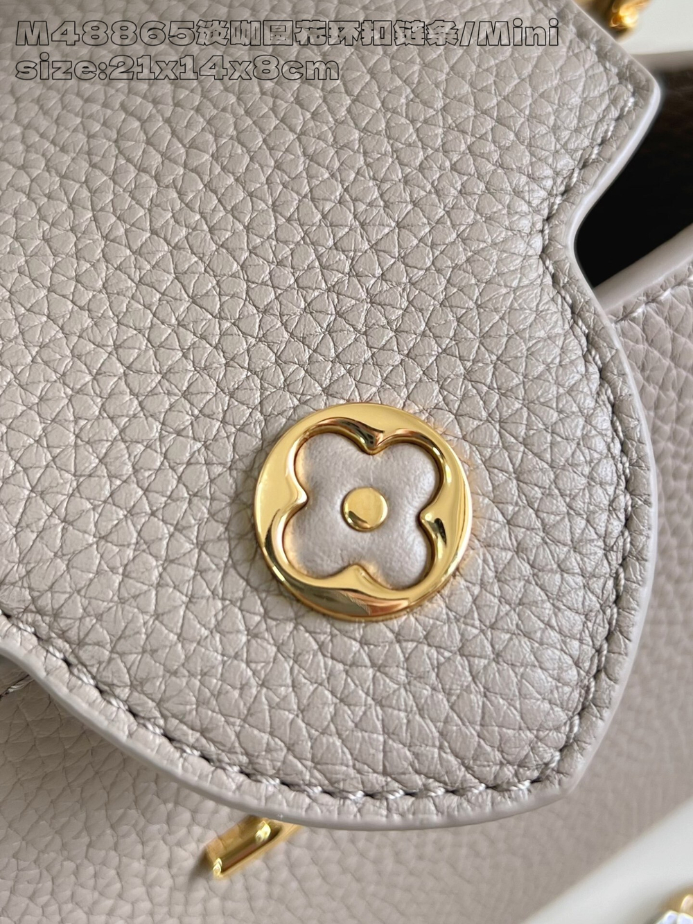 Louis Vuitton Capucines Mini