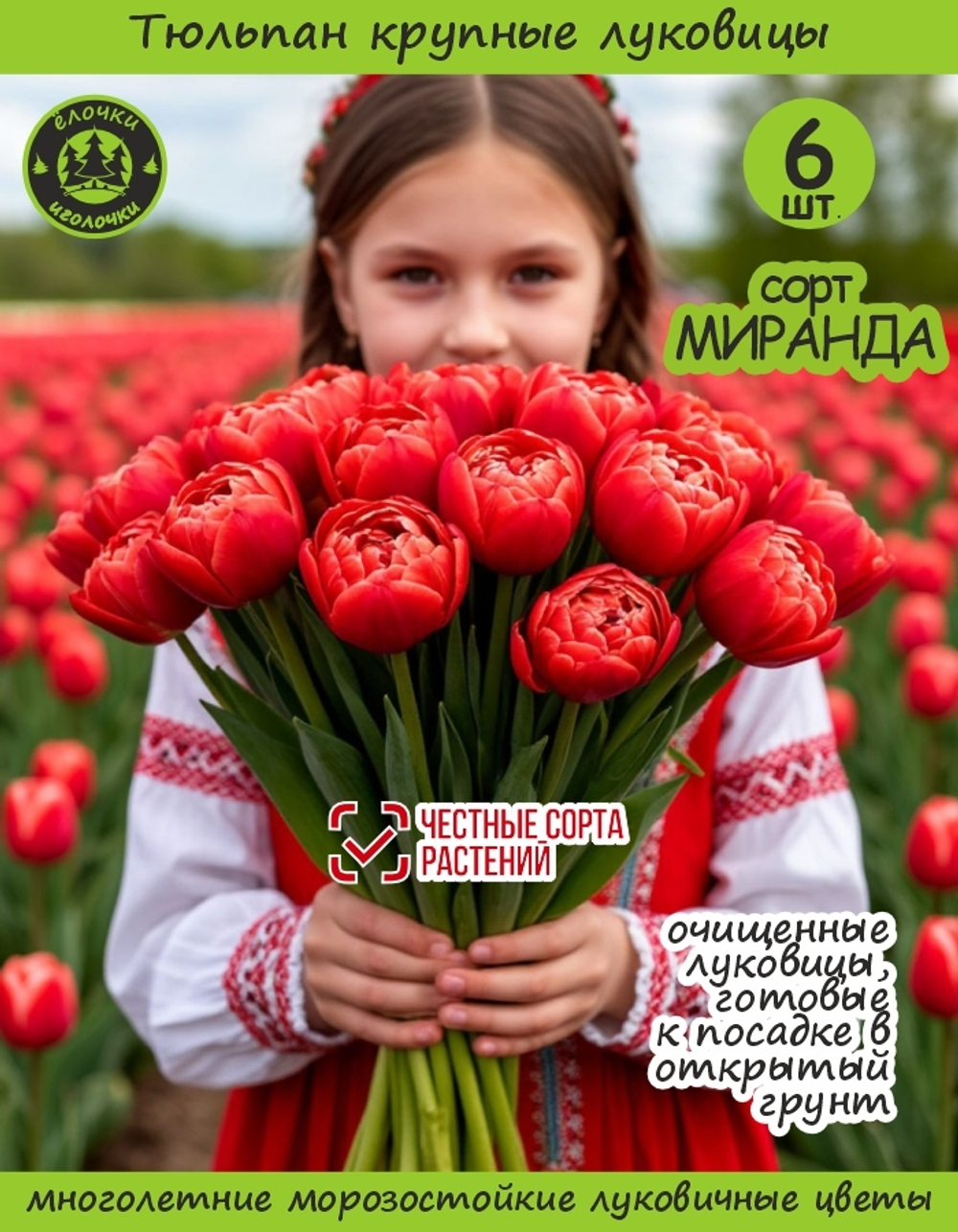 Тюльпан луковичные цветы, Миранда, 6 шт, разбор 11/12