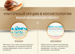 Крем для лица BioAqua Snail с муцином улитки, 50 г