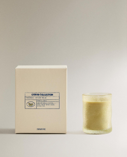 Zara Home Свеча ароматическая Vetiver Melon 155 г, растительный воск, аромат древесный, Коричневый