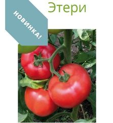 ЭТЕРИ F1 семена томата (Seminis | Alexagro)