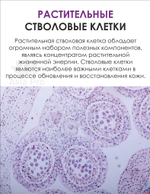 Тонер для лица Dr.Hedison Plant Stem Cell Repair Toner