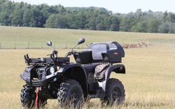 Квадроцикл BALTMOTORS Striker 700 EFI (ПСМ)