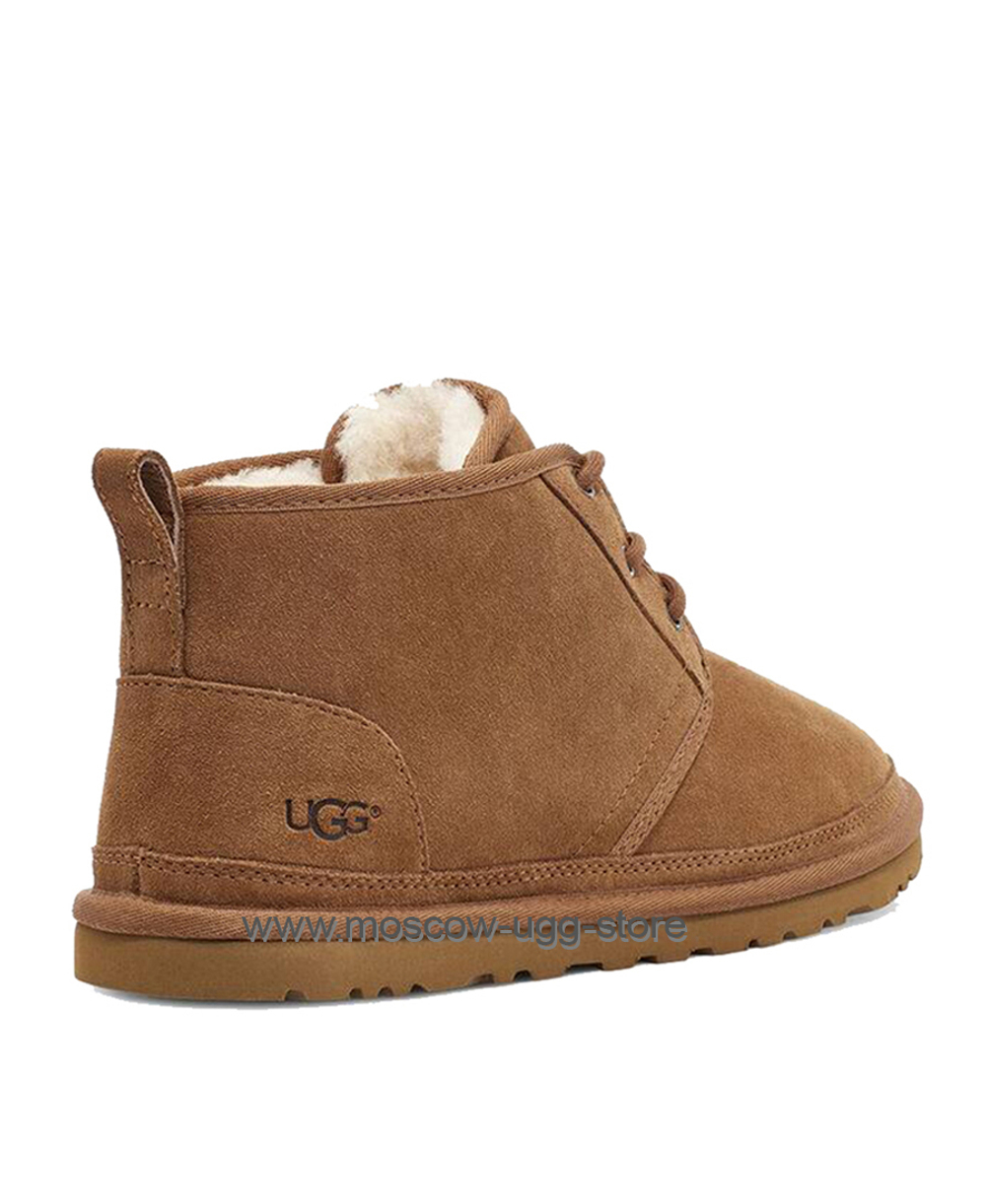 NEUMEL MEN - chestnut