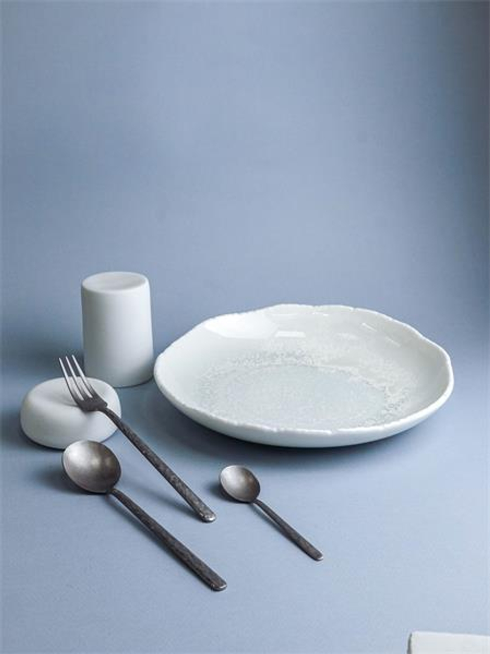 Тарелка d 25,2 см h 5,3 см, фарфор, Boletus Fusion