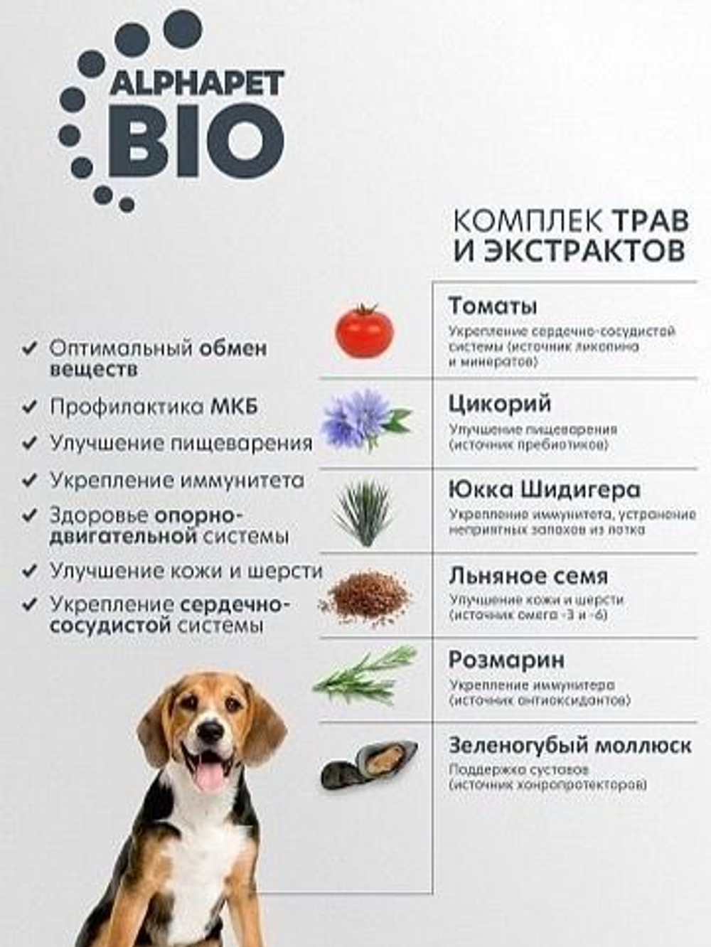 Сухой корм для собак AlphaPet WOW для взрослых животных средних пород , с говядиной и сердцем, 2 кг