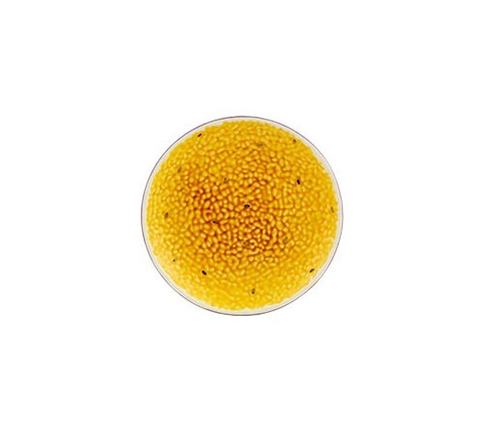 Тарелка десертная Bordallo Pinheiro Tropical Fruits Passion Fruit (21 см)