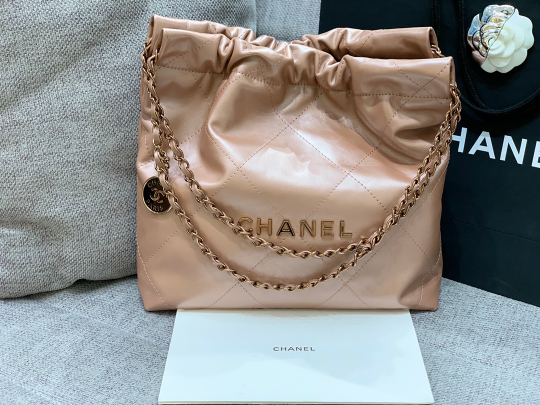 Chanel 22 Small Handbag 42 cm