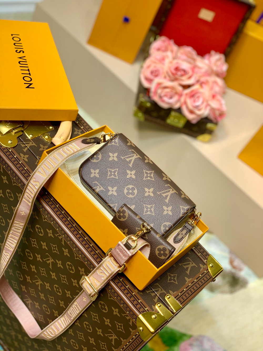 Louis Vuitton Felicie Strap & Go
