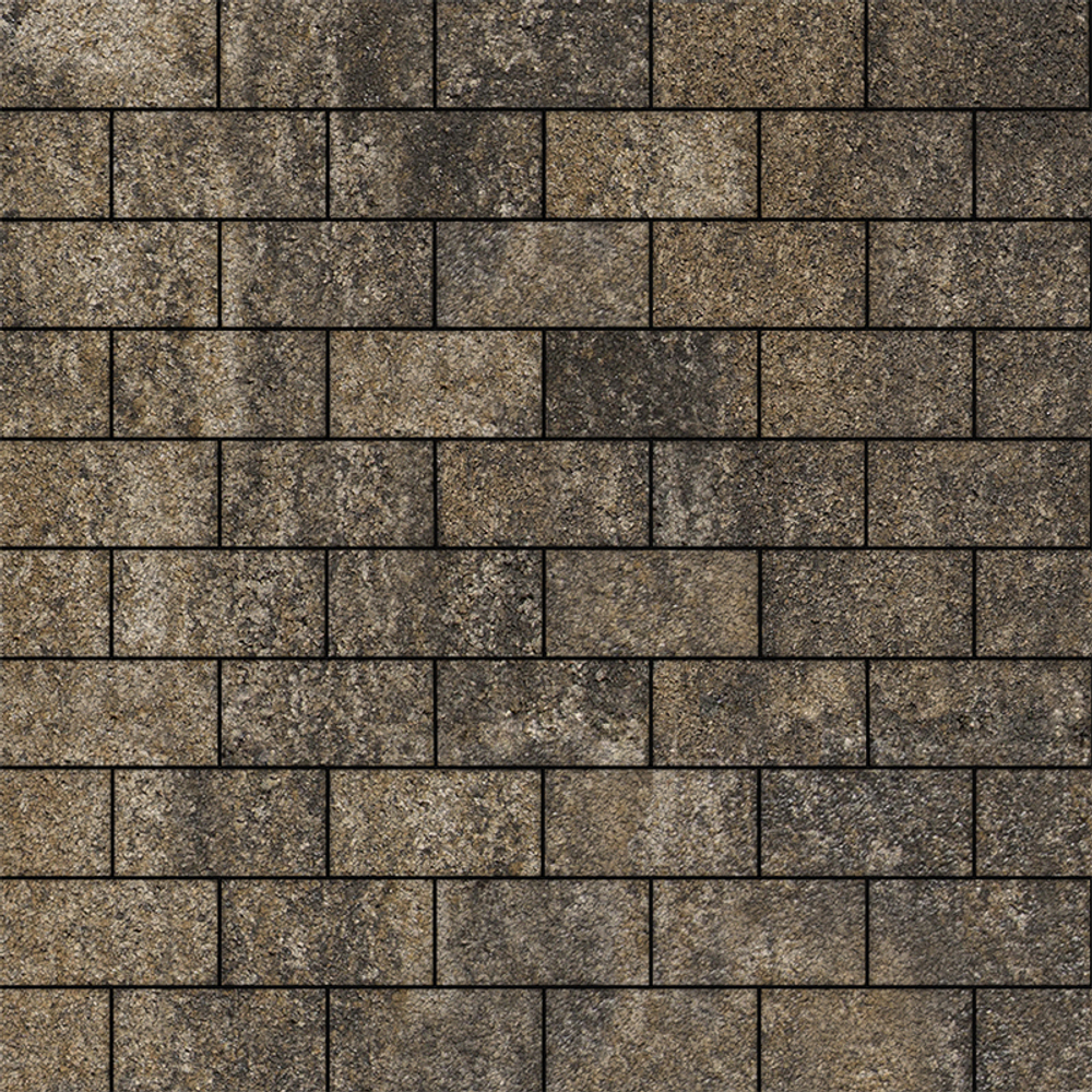 Тротуарная плитка ПРЯМОУГОЛЬНИК 200x100 мм - Листопад гранит Старый замок