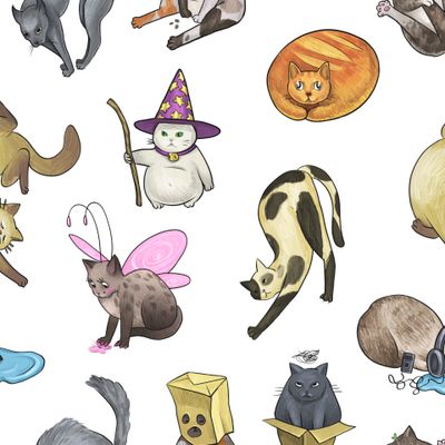 Милые котики на белом фоне