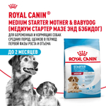 Royal Canin Medium Starter Корм для щенков средних размеров беременных и кормящих собак 12 кг