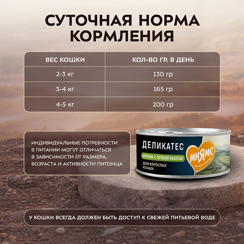 Влажный корм консервы для кошек Деликатес"Паштет по-мальтийски" кролик с зеленой фасолью Мнямс 0,1кг 16 шт