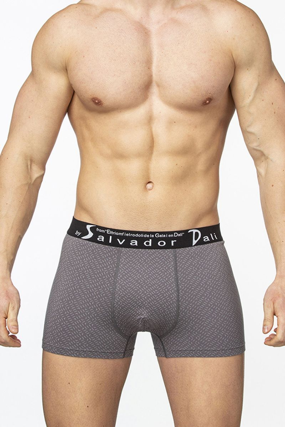 Мужские трусы-боксеры в крапинку (Размер: L) (Цвет: черный)