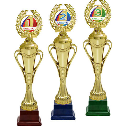 Награда 1 место