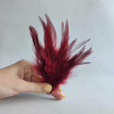 Перья петуха вишневые 2 сорт 20 шт.