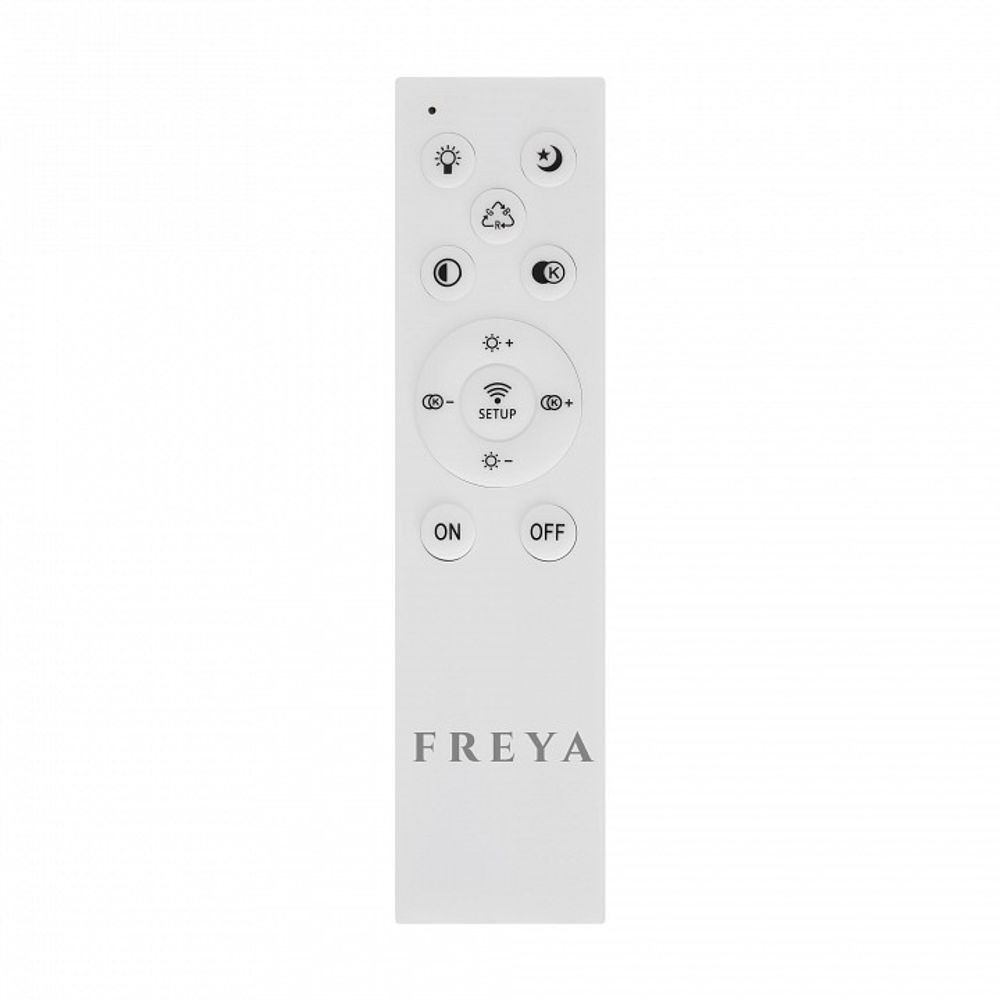 Накладной светильник Freya  FR10032CL-L98W