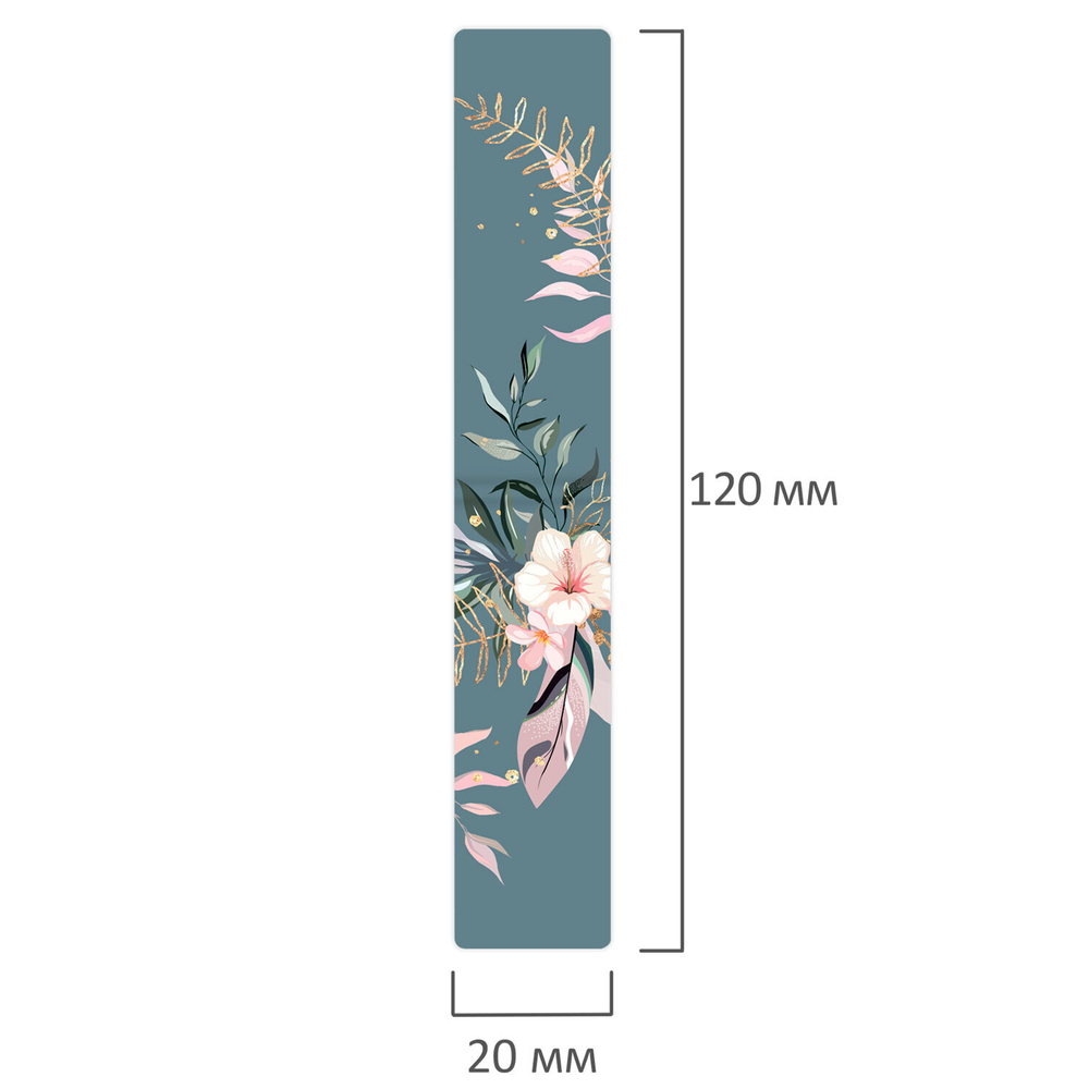 Закладки для книг МАГНИТНЫЕ, "TROPICS", набор 12 шт., 60x20 мм, BRAUBERG, 113172
