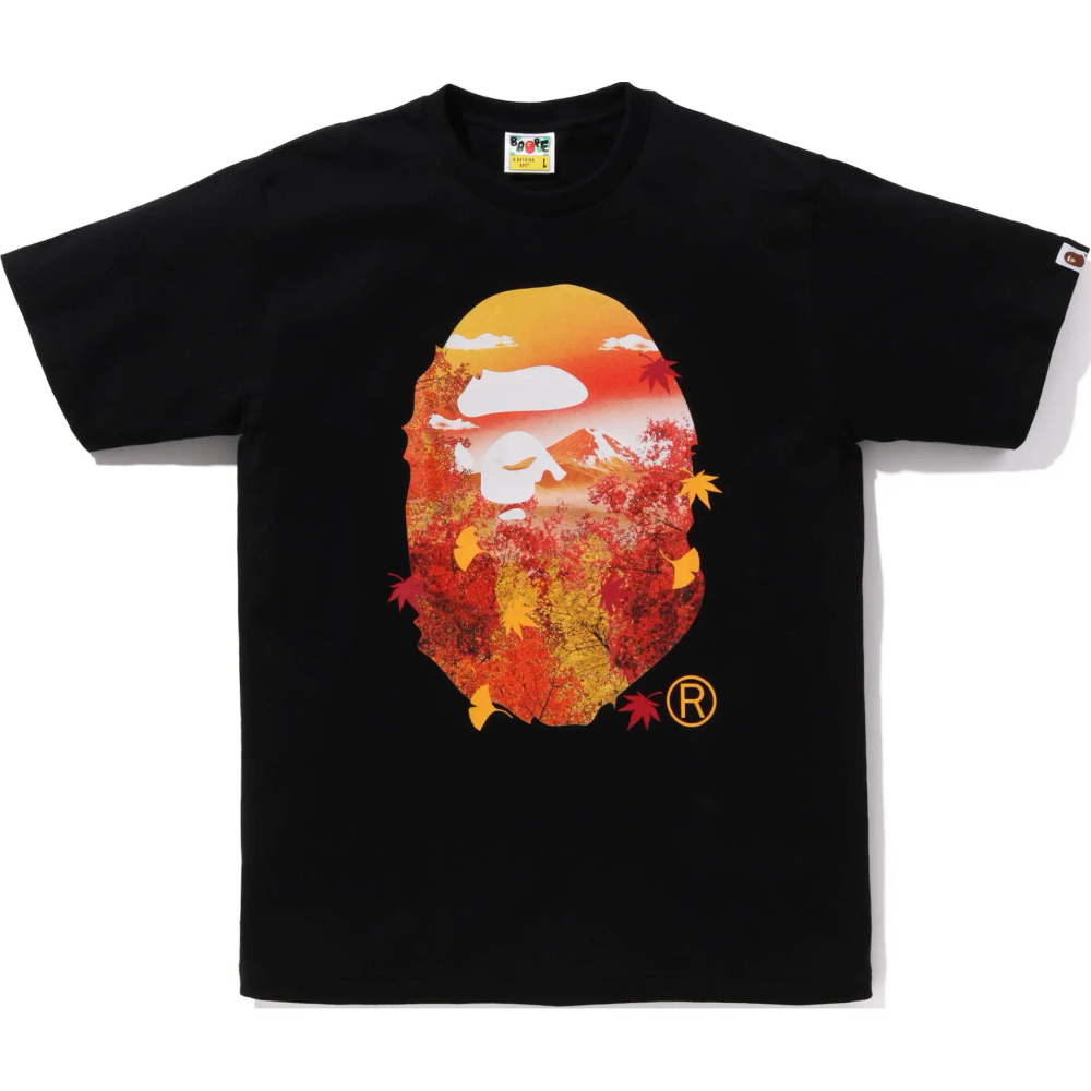 A Bathing Ape Japan Autumn Photo Ape Head Tee