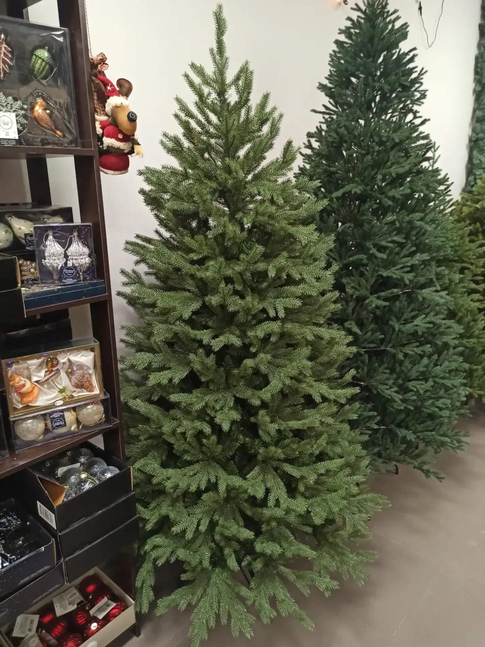 узкая елка "Графская стройная"