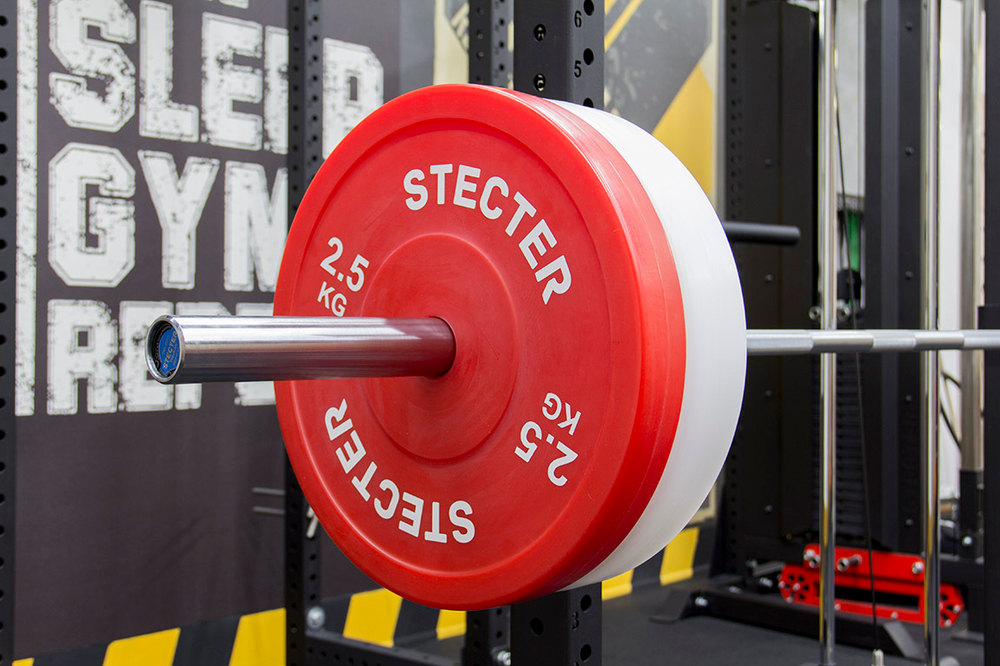 Технический диск для штанги 2,5 кг STECTER (D=450 мм, пластик)