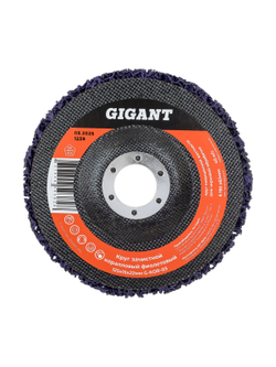 Диск абразивный коралловый фиолетовый 125х22 мм, 5 шт Gigant G-KOR-03-5