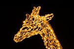 Светодиодная фигура "Жираф"