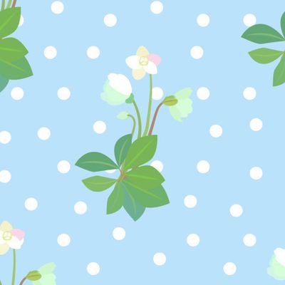 МОРОЗНИК - РОЖДЕСТВЕНСКАЯ РОЗА и круги