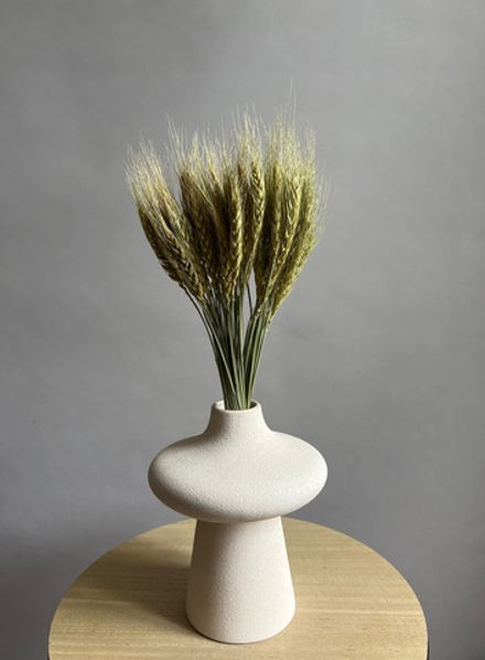 Ячмень зеленый