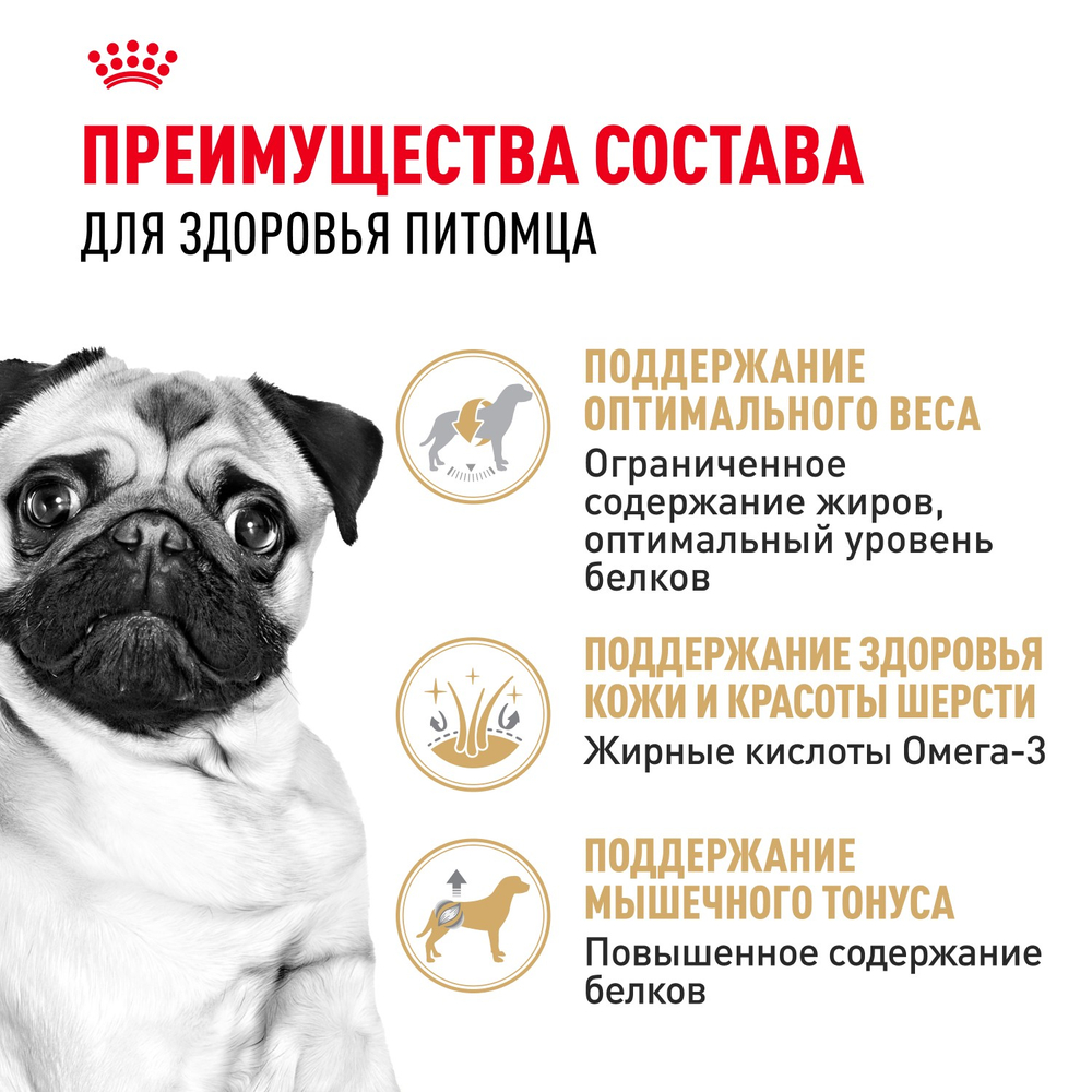Royal Canin Pug Adult Мопс Эдалт Корм сухой для взрослых собак породы Мопс от 10 месяцев 1,5кг