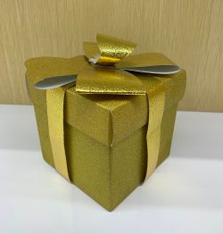 GAEM Коробка подарочная (бумага 350г/м2), L25 W25 H25 см