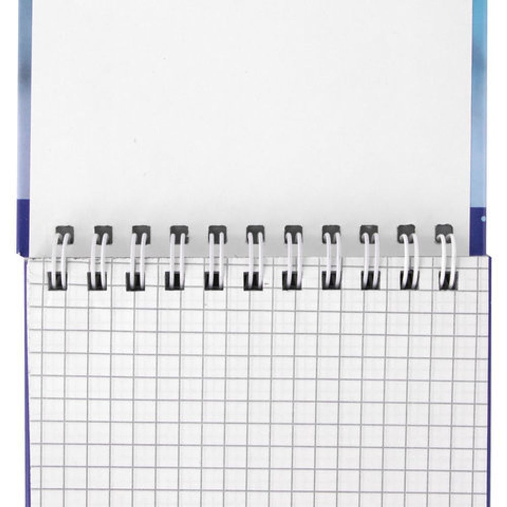 Блокнот МАЛЫЙ ФОРМАТ (105х150 мм) А6, 80 л., гребень, твердый картон, клетка, BRAUBERG, "Любимчики", 129838