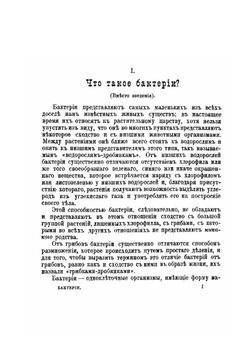 Бактерии и их роль в жизни человека | В.О. Мигула
