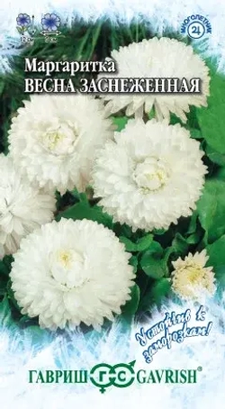 Маргаритка семена