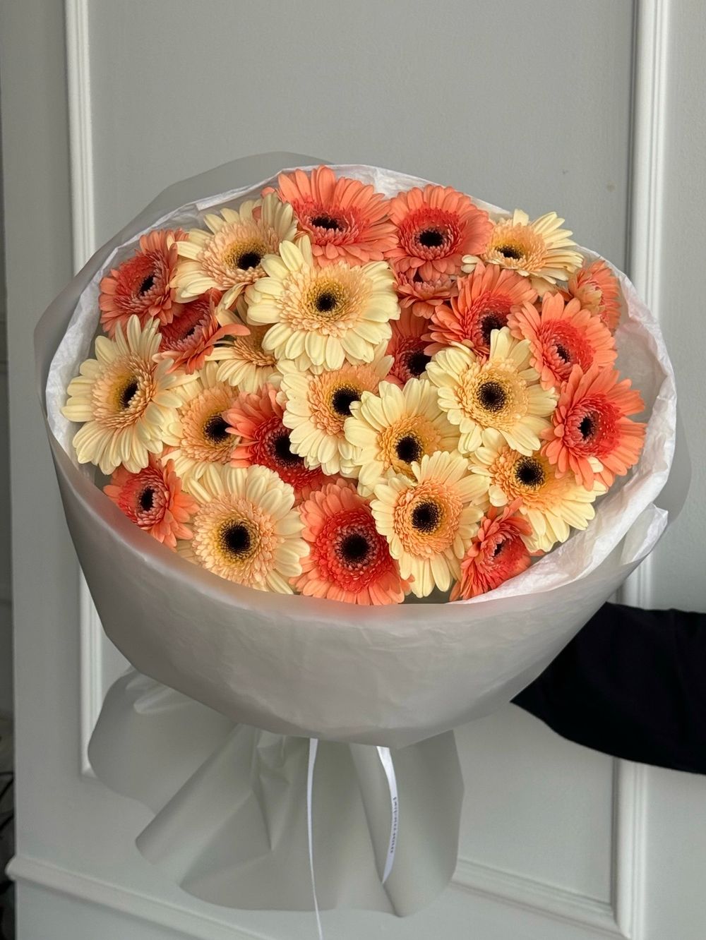 Букет из 25 минигербер кремовых оттенков