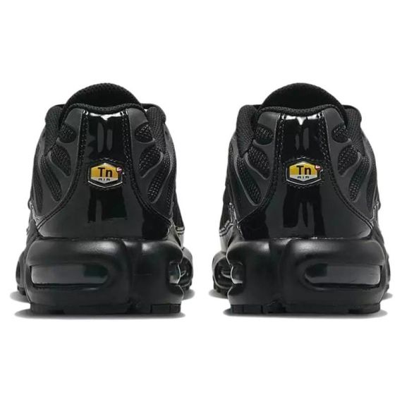 Кроссовки Nike Air Max Plus Мужские