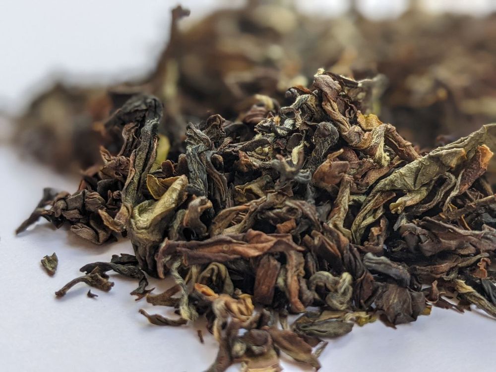 улун "Восточная красавица" Отборный (Дун Фан Мэй Жэнь Те Сюань)