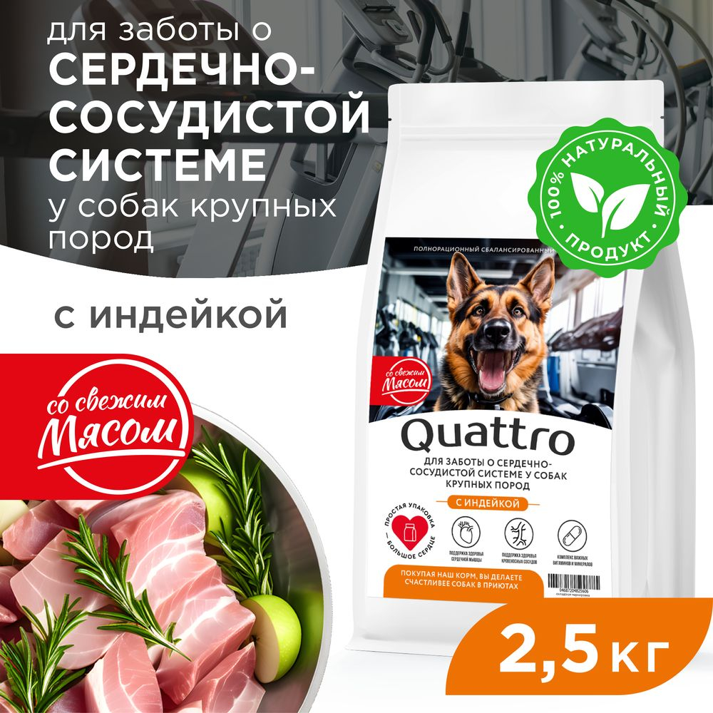 Корм сухой для взрослых собак крупных пород, премиум полнорационный комплекс, для заботы сердечно-сосудистой системы, с индейкой, 2,5 кг, QUATTRO