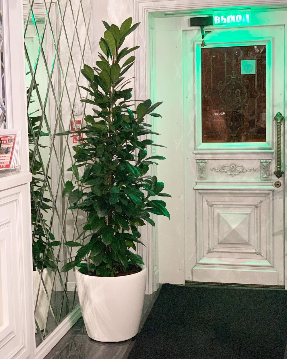 20.05. Озеленение живыми горшечными растения отеля «Столица».