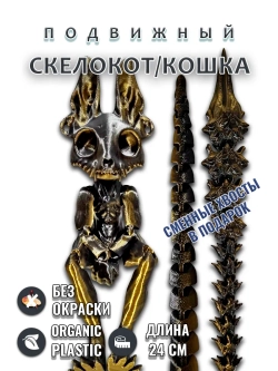Скелет Кошки
