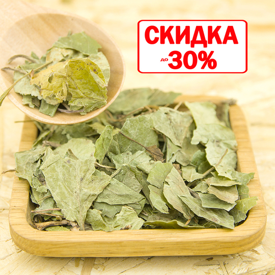 Грушанка (трава)