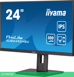 Монитор Iiyama ProLite XUB2492HSU-B6